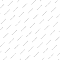 Фрикционный диск (120x1.5x30T) C1 (Forward)