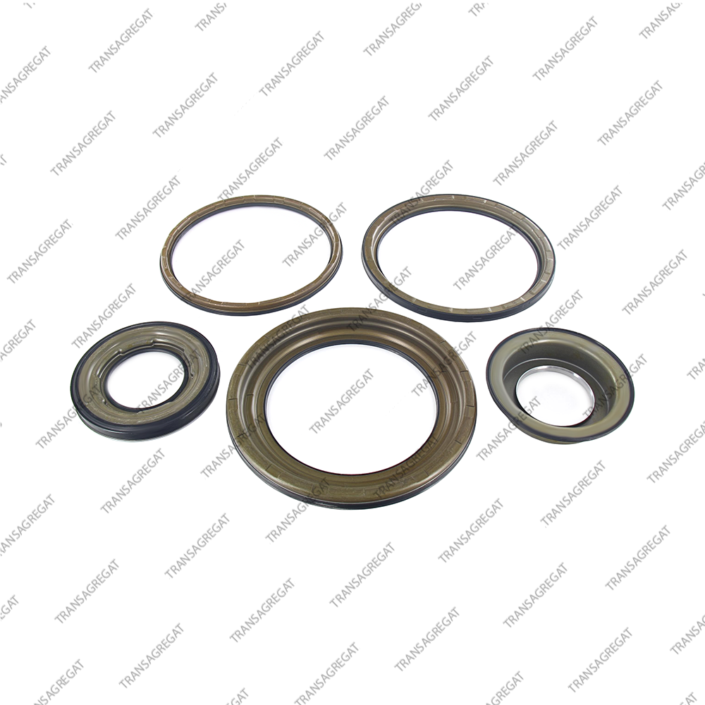 Комплект поршней (5шт., обрезиненные)