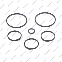 Комплект уплотнительных колец (6шт.)