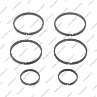 Комплект уплотнительных колец (6шт.)