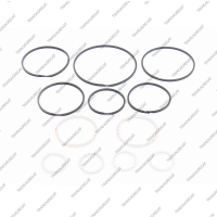 Комплект уплотнительных колец (12шт.)
