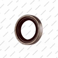 Сальник гидротрансформатора (17x25x5.0)